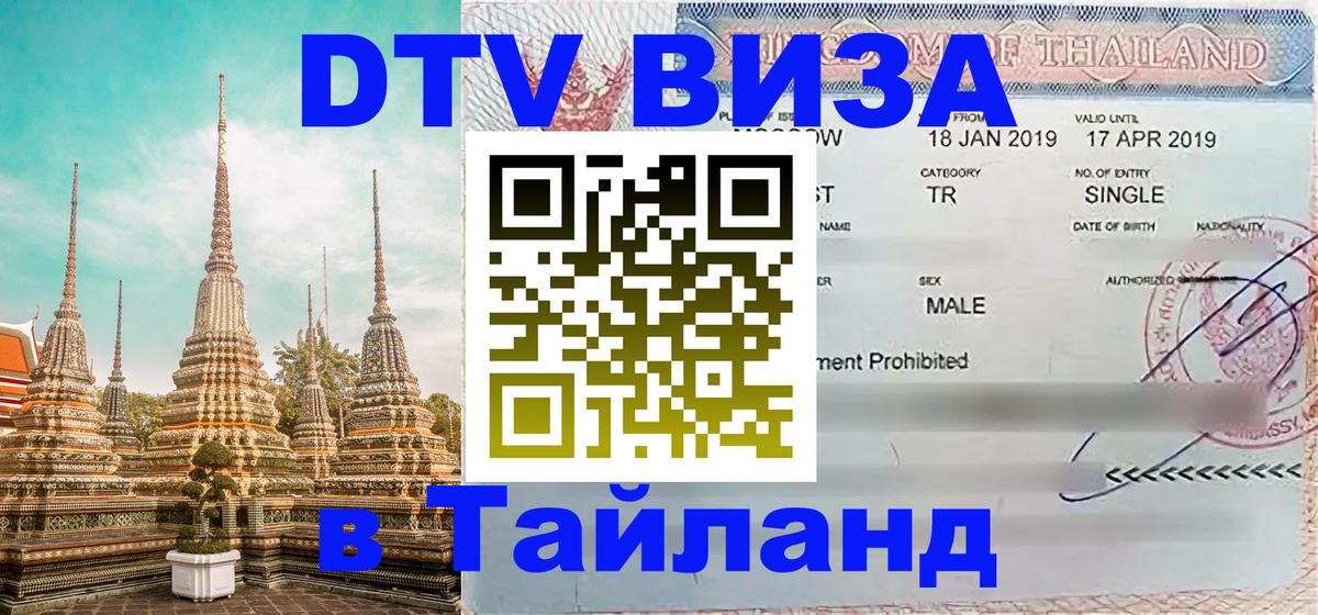 Оформление DTV визы под ключ: стоимость и тарифы, только загранпаспорт - 05.10.2025 